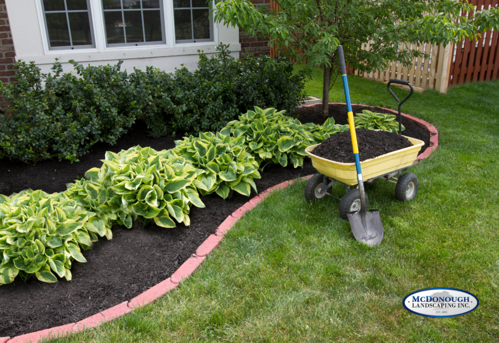 Landscaping Ideas to Boost Your Home's Property Value
