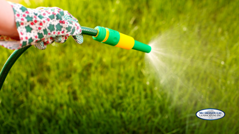 Simple Lawn Care Basics  - Watering